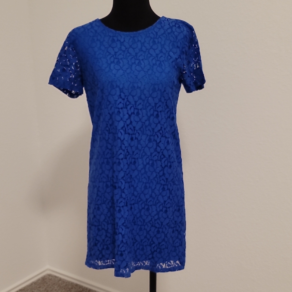 Mod Lace Cobalt Blue Sheath Dress